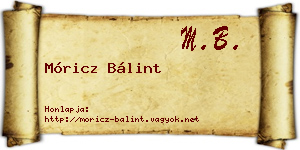 Móricz Bálint névjegykártya
